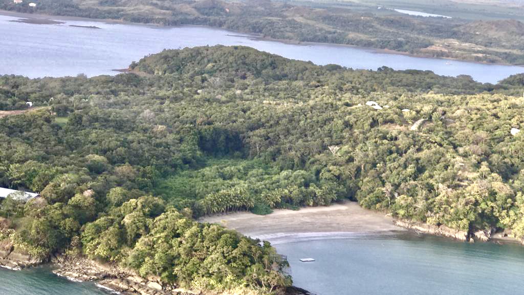 Aerial jungle and beach